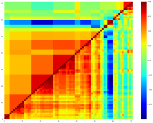 The correlation matrix reordered by providers