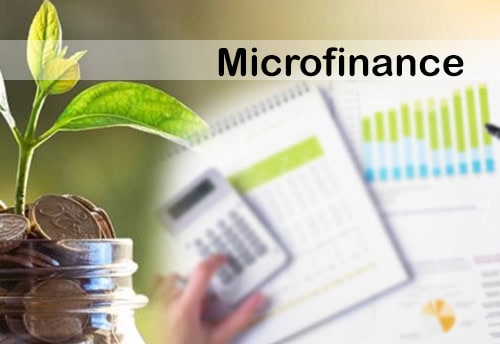 Microfinance investment and financial growth analysis with charts and coins.