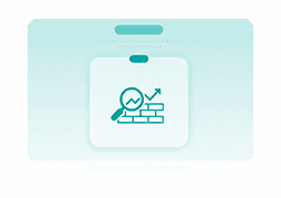 STRUCTURED PRODUCT